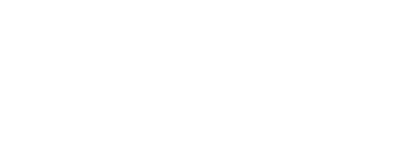 Shopify Platinum Partner